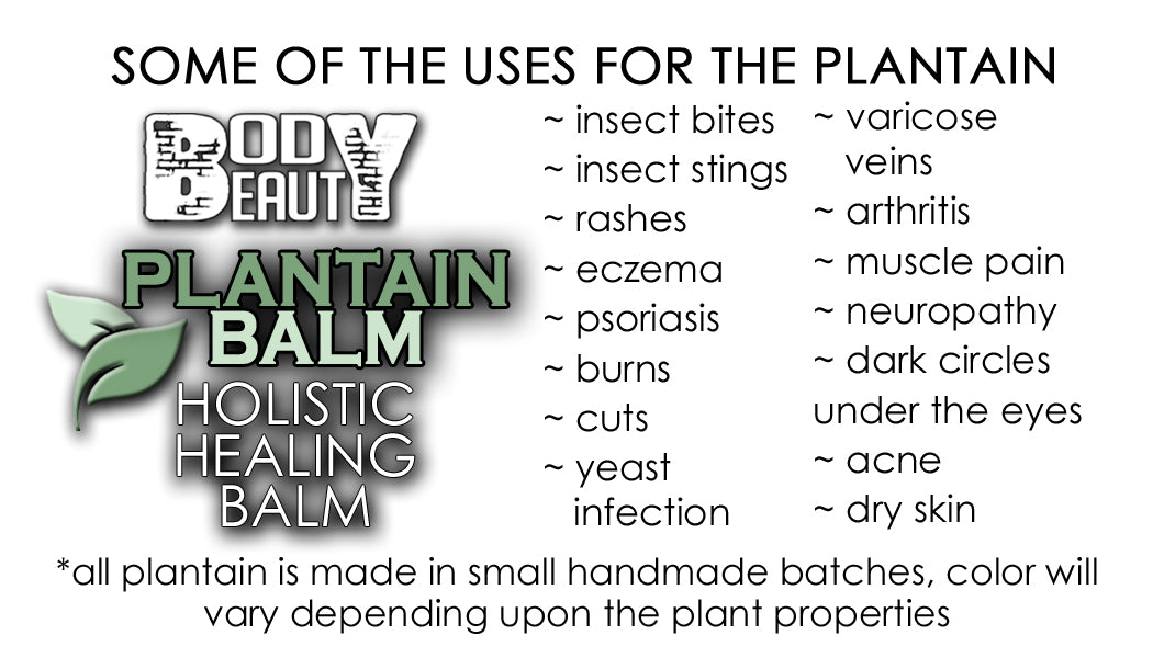 Holistic Plantain Healing Balm